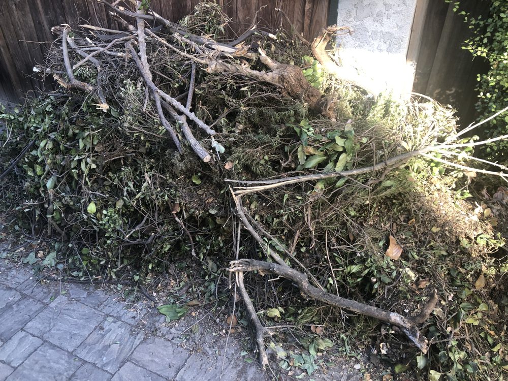 Yard debris removal - branches and green waste